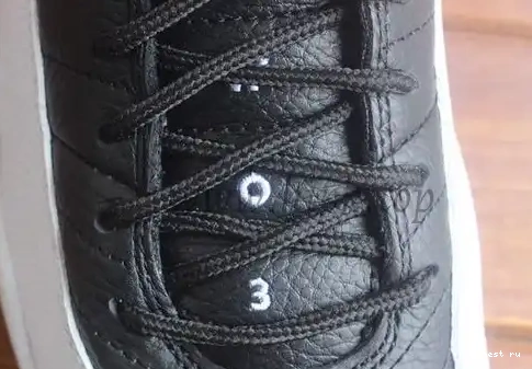 Low Authentic Jordan 12 “Playoff” Air 0507
